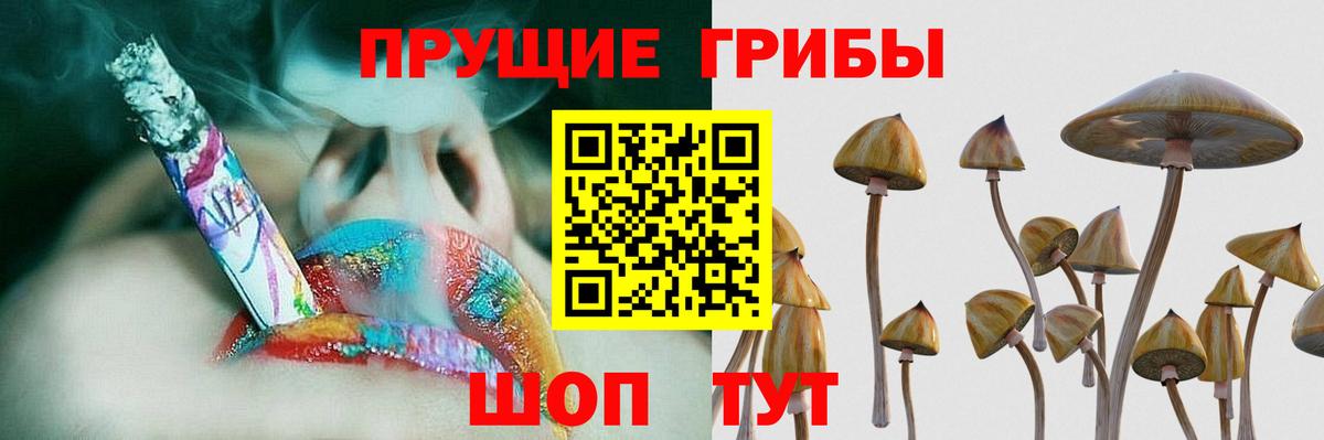 Галлюциногенные грибы MAGIC MUSHROOMS Борисоглебск