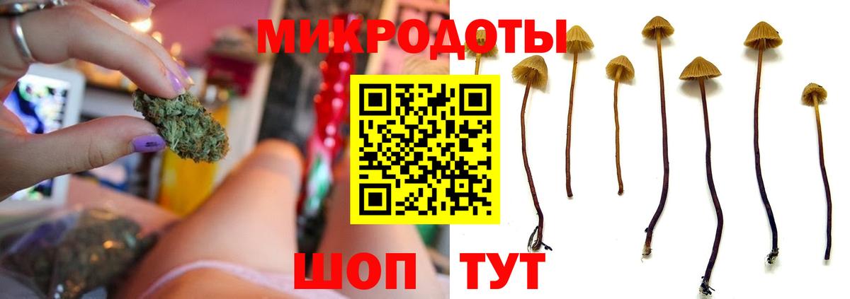 продажа наркотиков  Вход с VPN  Борисоглебск  Галлюциногенные грибы прущие грибы 
